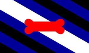 Flag with diagonal blue, black, and white stripes and a red bone in the center.